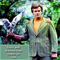 A Well-Dressed Owl